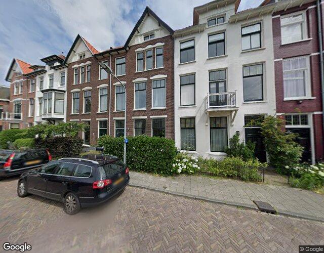 Koninginnew. 81