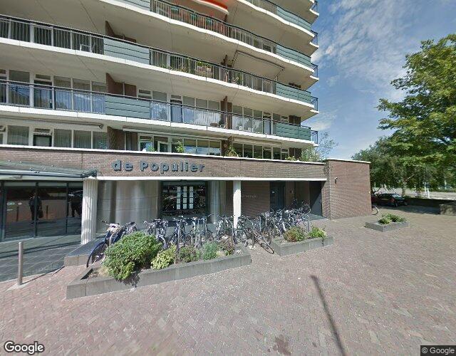 Populierend. 177