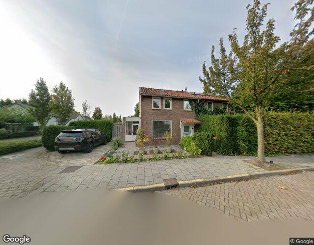 Leeuweriken. 11