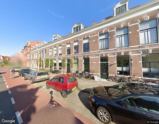 Witte Singel 66