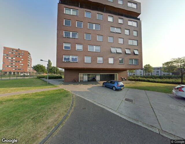Watervogels. 316