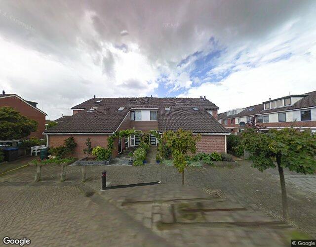 Pijlkruid 16