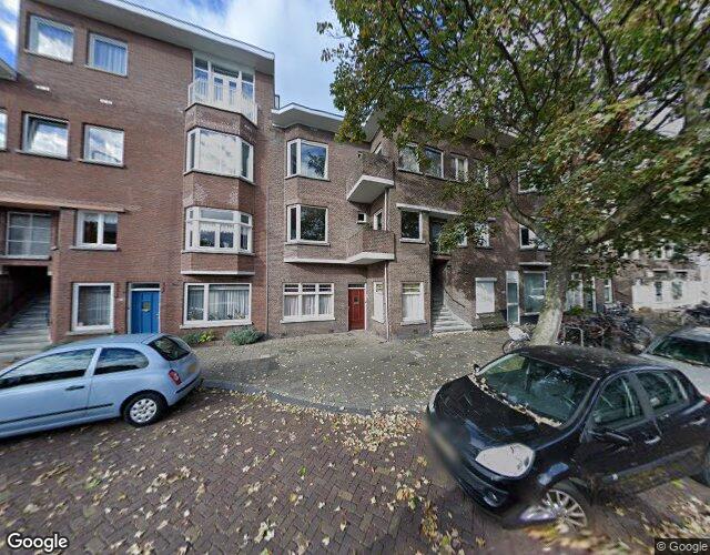 Vlierboomst. 159