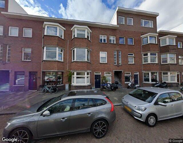 Vlierboomst. 243