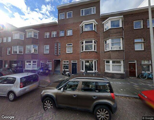 Vlierboomst. 237