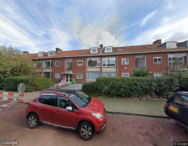 Goudreinetstraat 442