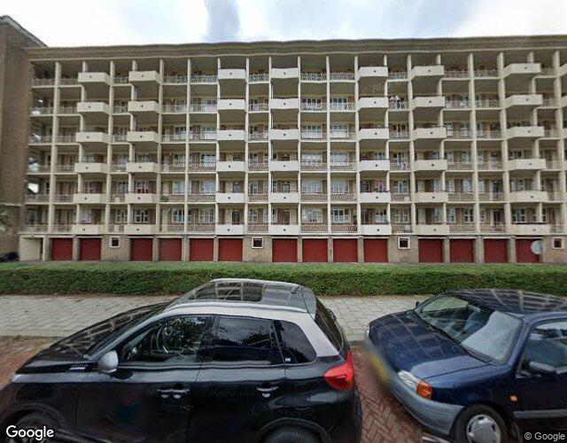 Ridderspoor. 42
