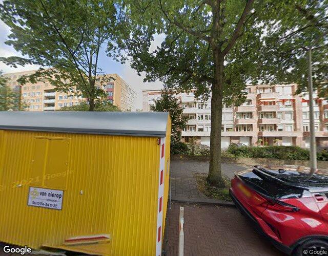 Zonnebloems. 245