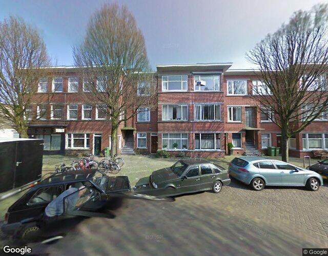 Stuyvesants. 371