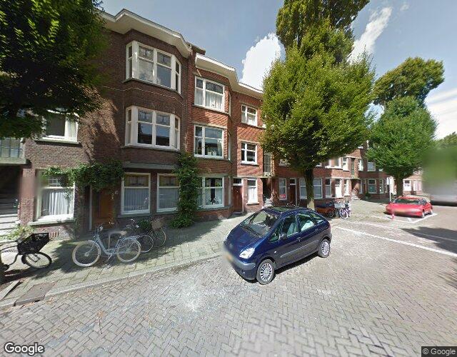 Stuyvesants. 250
