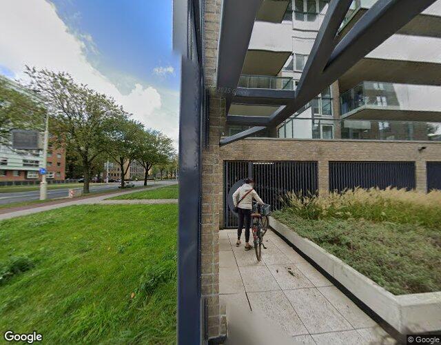 Stadhoudersplantsoen 252-D