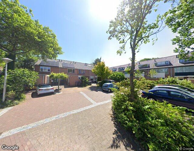 Vuurdoorn 20