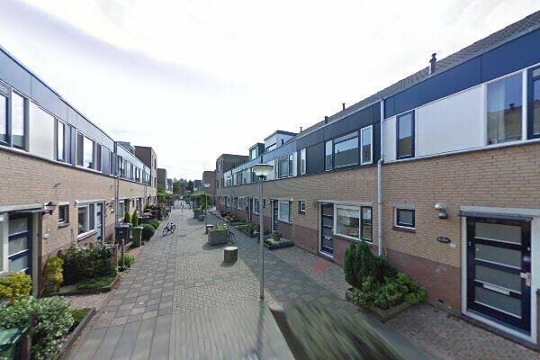 Zilvermeeuw 25
