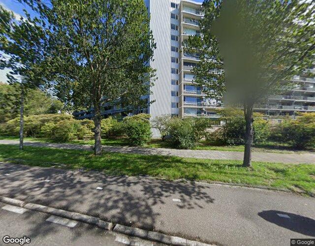 Stadhouders. 598