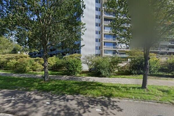 Stadhouders. 708