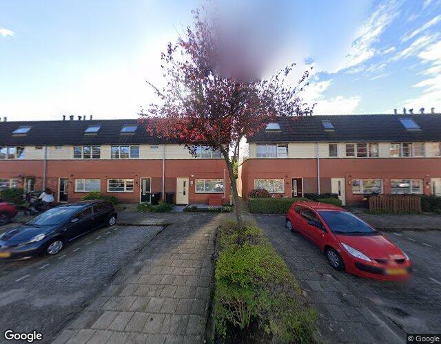 Elzehout 13
