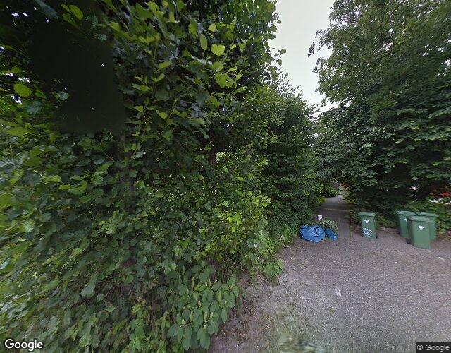 Stokroostuin 37