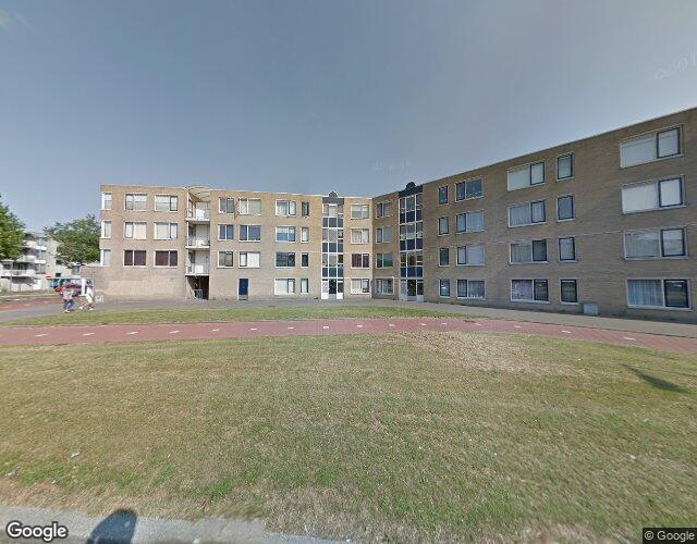 Grote Beer 942