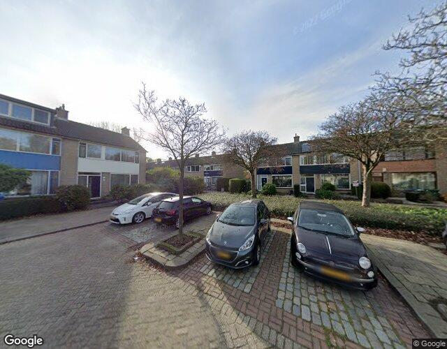 Heiligenbloem 13