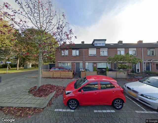 Heidekruid 12