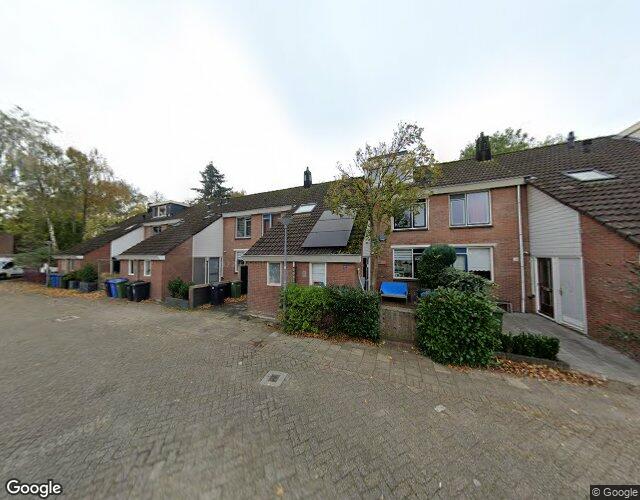 Witte Klaver 30