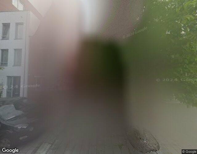 Bothastraat 85