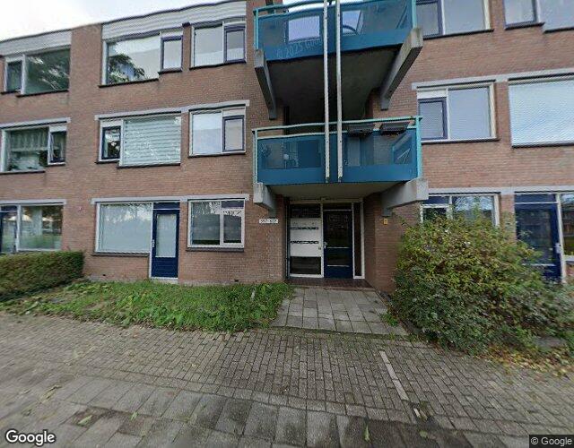 Rhijnauwens. 603