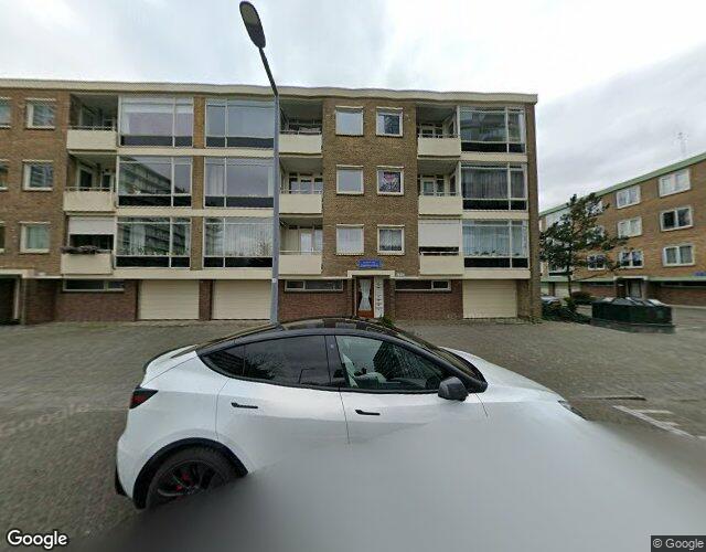 Bichon van. 28
