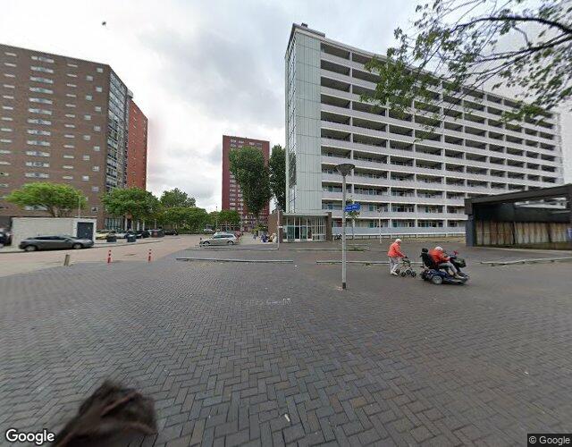 Plein 1953 140
