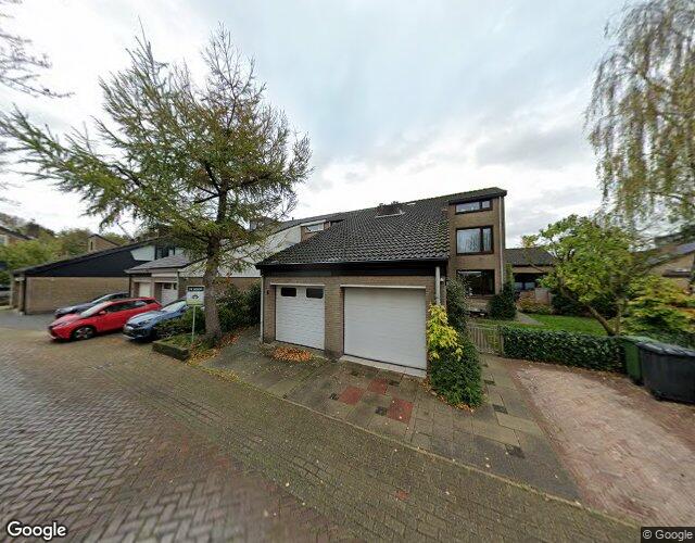 Esdoorn 6