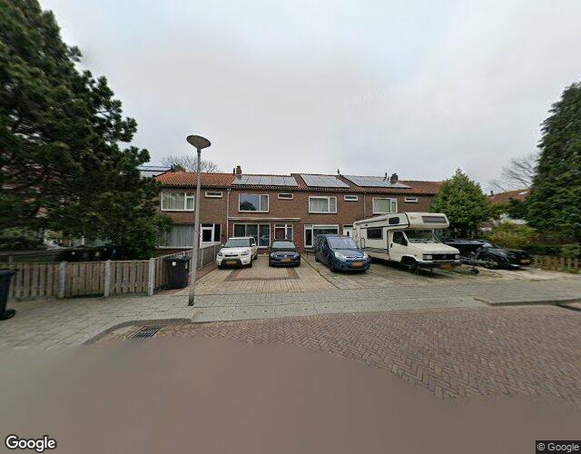 Goudenregen. 8