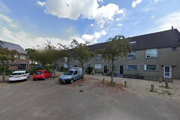 Ridderspoor 8