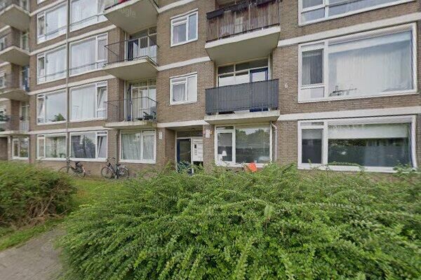 Burgemeeste. 785