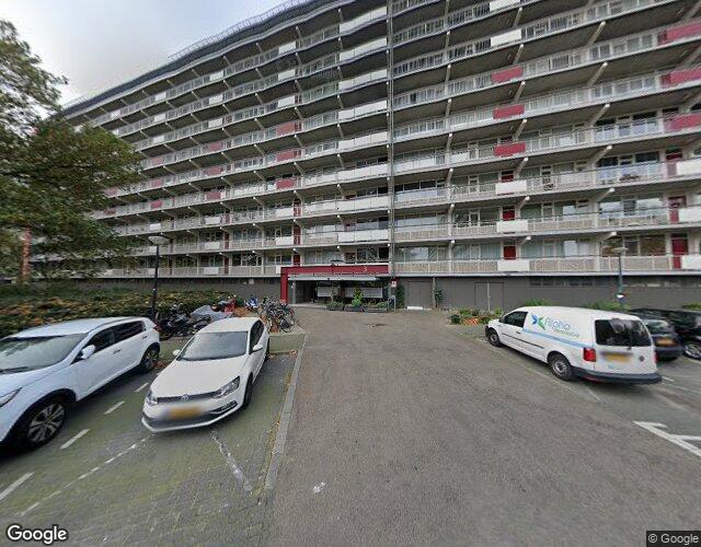 Bachplein 311