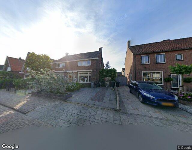 Groene Krui. 8