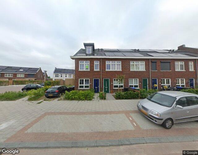 Korenbloem 66