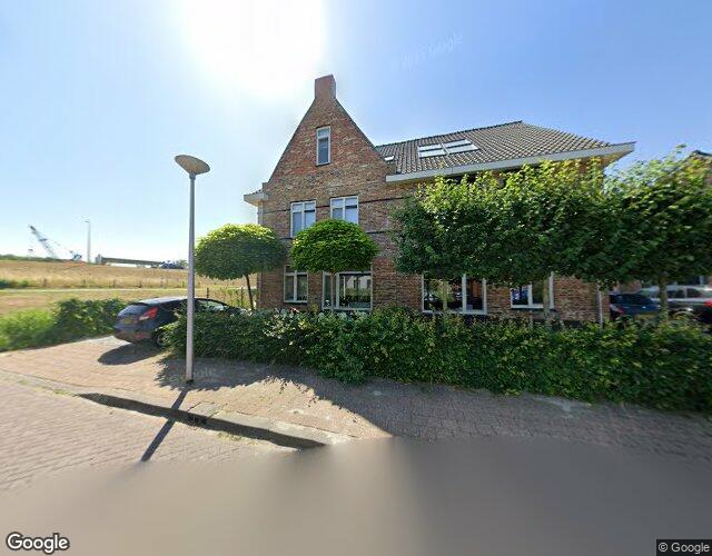Aalscholver 1