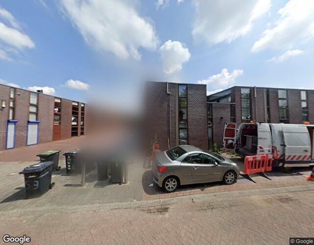 Dotterbloem 12