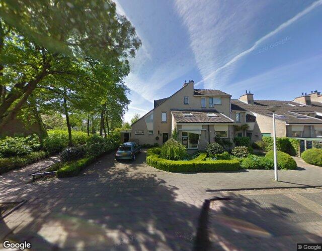 Ridderspoor. 36