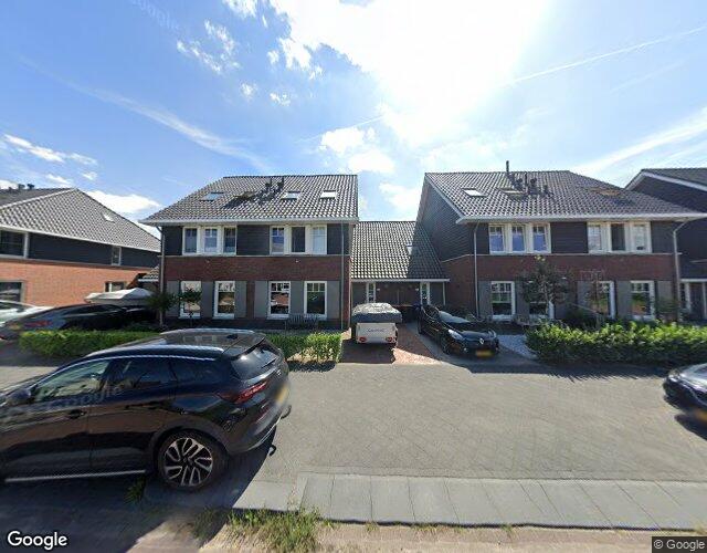 Goudreinet 40