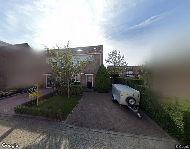 Schoener 13
