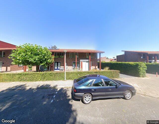 Akkerdistel 5