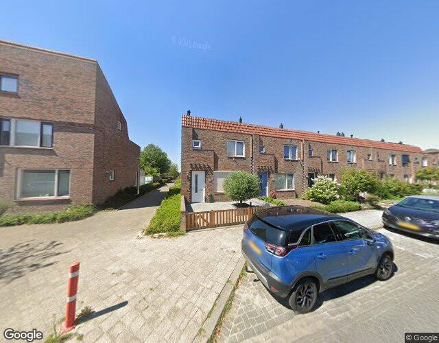 Muurkruid 13