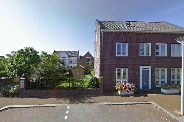 Willem Kloo. 19