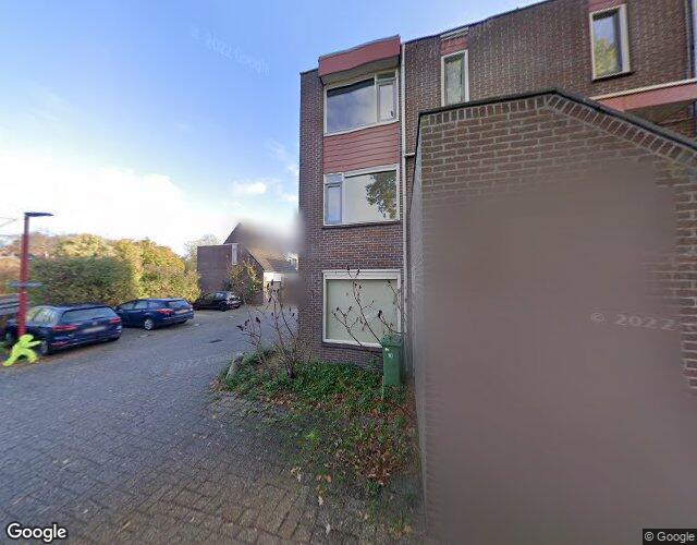 Zilvermeeuw 8