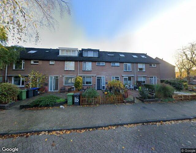 Steenarend 35
