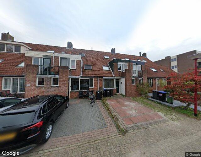 Goudvink 45