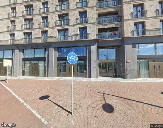 Grauwaartsingel 548