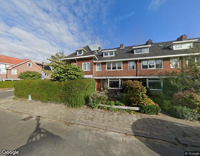 Schimmelpen. 14