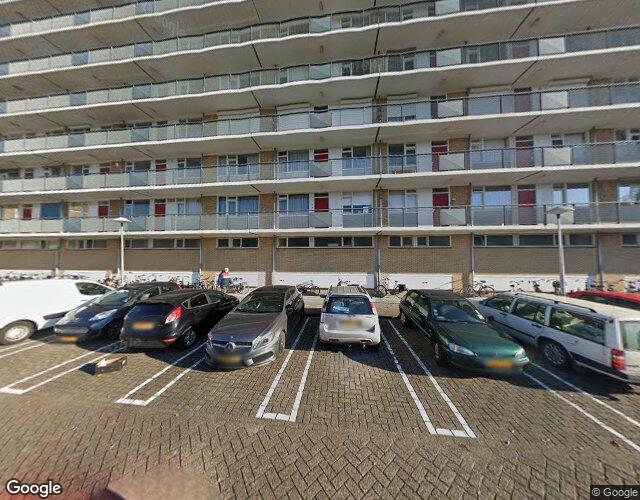 Livingstone. 610